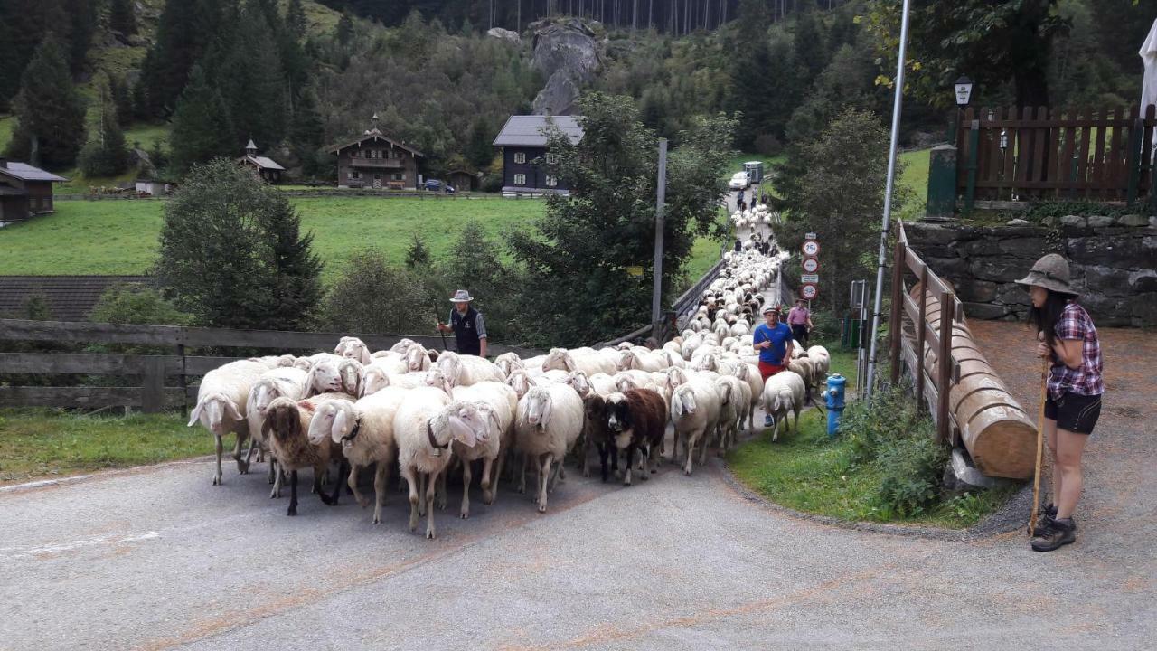 FEWO Unterm Wald Stumm Exterior foto